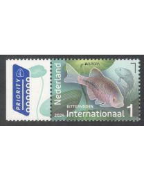 Nederland 2024: NVPH: 4198: Onderwaternatuur: postfris