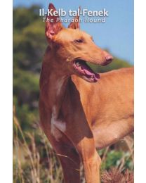 Malta 2026: Speciale 2 Euro BU in Coincard: "Faraohond"