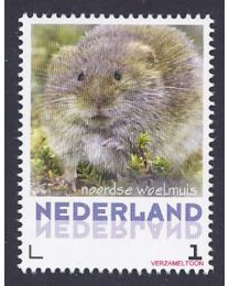 Nederland 2013: NVPH: V3013-Aa-24: "Zoogdieren in Nederland": Noorse woelmuis: postfris