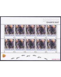 Nederland 2013: NVPH: V3013-Aa-36: "Zoogdieren in Nederland": Zwarte rat: velletje postfris