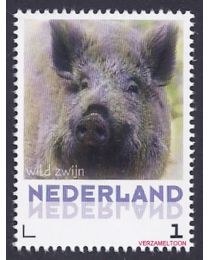 Nederland 2013: NVPH: V3013-Aa-32: "Zoogdieren in Nederland": Wild zwijn: postfris