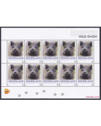 Nederland 2013: NVPH: V3013-Aa-32: "Zoogdieren in Nederland": Wild zwijn: velletje postfris