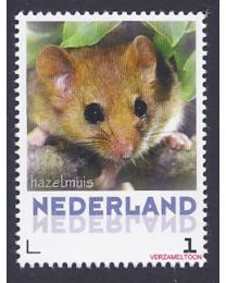 Nederland 2013: NVPH: V3013-Aa-18: "Zoogdieren in Nederland": Hazelmuis: postfris
