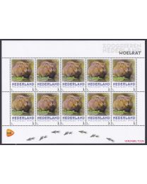 Nederland 2013: NVPH: V3013-Aa-34: "Zoogdieren in Nederland": Woelrat: velletje postfris