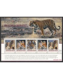 Nederland 2017: NVPH: V3197 P-02: "Bedreigde Zoogdieren": Bengaalse tijger: velletje postfris