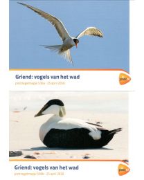 Nederland 2016: NVPH: M536 a+b: Postzegelmapje: Griend: vogels van het wad