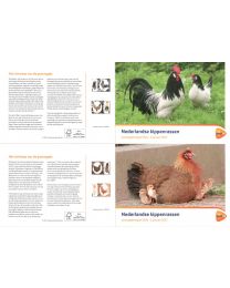 Nederland 2017: NVPH: M552 a+b: Postzegelmapje: Nederlandse kippenrassen