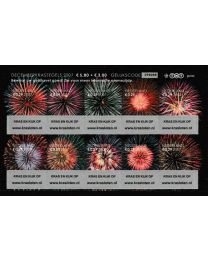 Nederland 2007: NVPH: 2540-2549: Decemberzegels: serie postfris