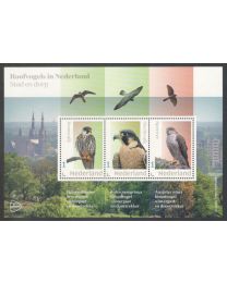 Nederland 2024: NVPH: V3642P: "Roofvogels in Nederland: Stad en dorp" 840040: velletje postfris