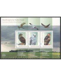 Nederland 2025: NVPH: V3642P: "Roofvogels in Nederland: Grootschalig akkerland" 840042: velletje postfris