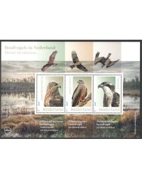 Nederland 2026: NVPH: V3642P: "Roofvogels in Nederland: Rivier en moeras" 840043: velletje postfris