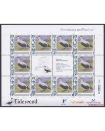 Nederland 2013: NVPH: V2791-Aa-9: "Vogels in Nederland": Eidereend: velletje postfris