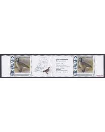 Nederland 2013: NVPH: 2791-Aa-19: "Vogels in Nederland": Grote Canadese Gans: strip postfris