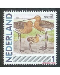 Nederland 2011: NVPH: 2791-Aa-22: "Vogels in Nederland": Grutto: postfris