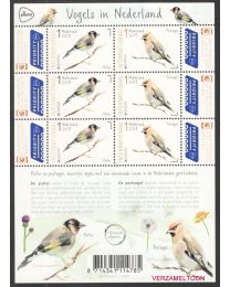 Nederland 2019: NVPH: V3738-3739:  Vogels in Nederland: velletje postfris