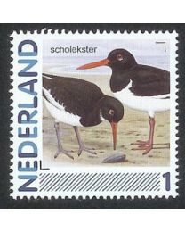 Nederland 2011: NVPH: 2791-Aa-55: "Vogels in Nederland": Scholekster: postfris
