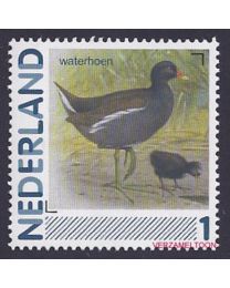Nederland 2013: NVPH: 2791-Aa-67: "Vogels in Nederland": Waterhoen:  postfris